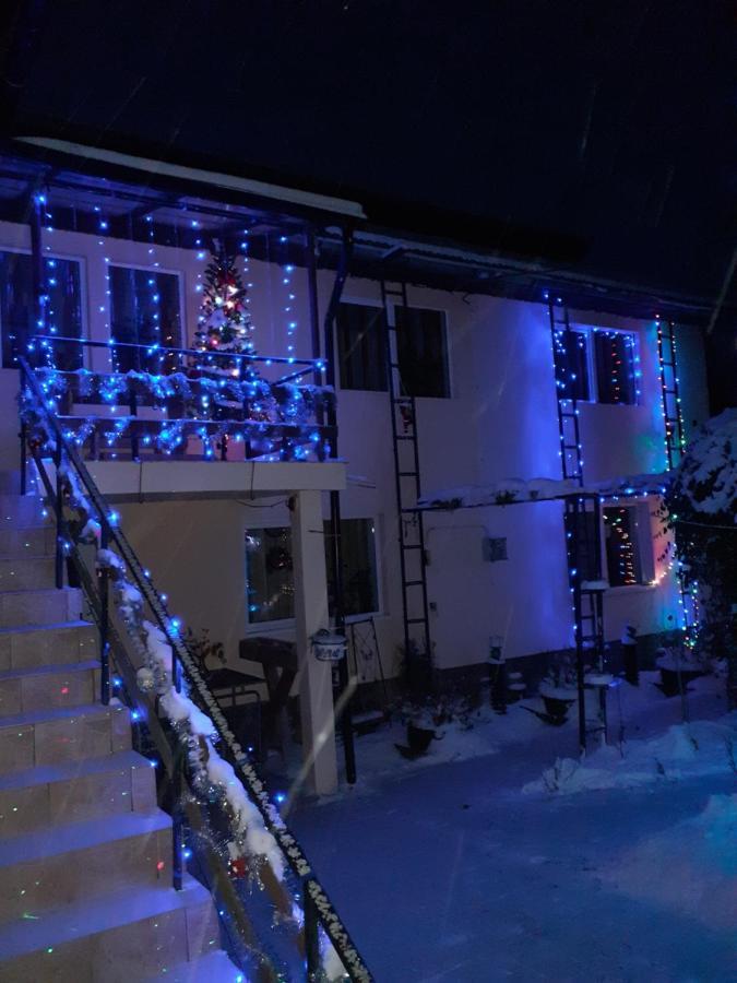 Casa Bradul Verde Bran  Exteriér fotografie